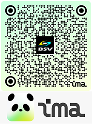 ima知识库：大系统观